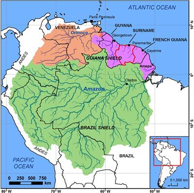 Chenier Morphodynamics on the Amazon-Influenced Coast of Suriname, South America: Implications for Beach Ecosystem Services